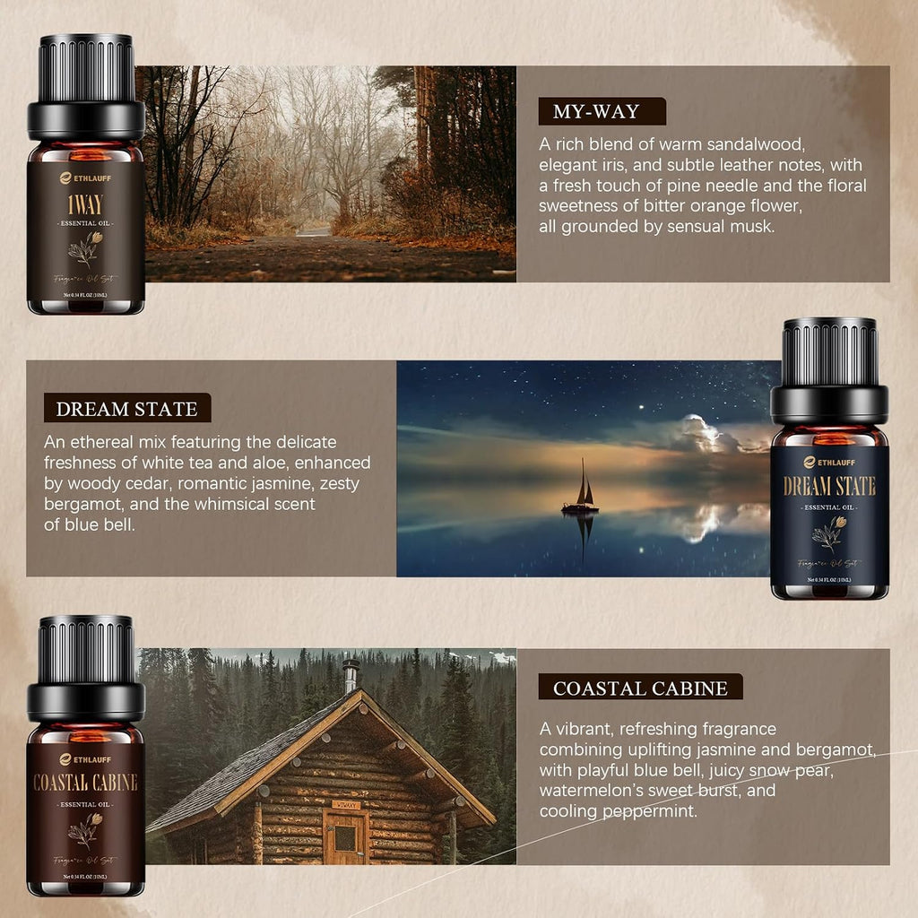 Diffuser Oil, My Way, Dream State, Coastal Cabine, Inspired by The Most Popular 5-Star Hotel Scents, Fragrance Oil - Set of 6