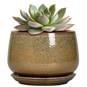 6 Inch Plant Pot - Ceramic Succulent Pots with Drainage and Ceramic Tray, Round Planter for Indoor Outdoor Plants