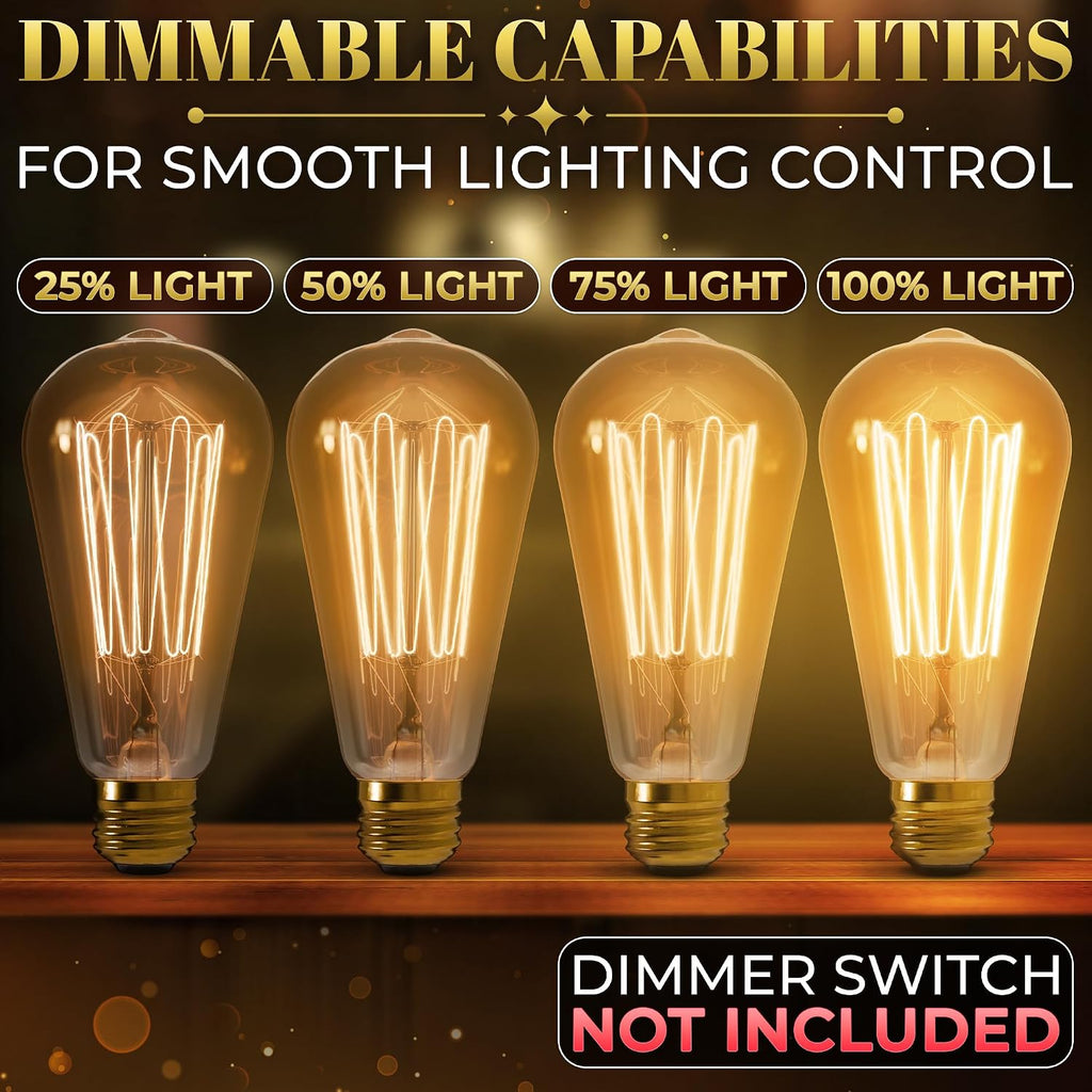 Incandescent Light Bulbs 60 Watt, 210 Lumens, 4 Pack ST64 Edison Bulbs