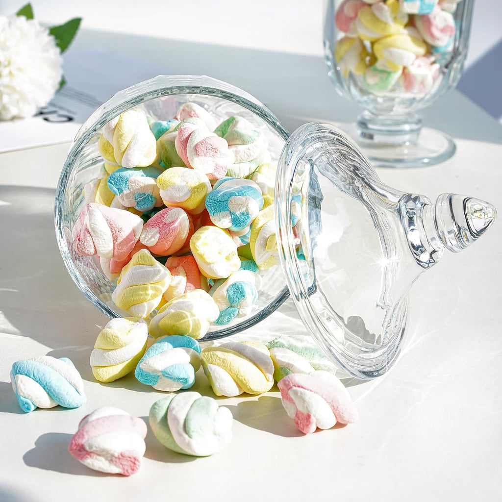 26oz Glass Cookie Jar with Lid, Clear Candy and Cookie Storage
