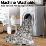 Area Rug Living Room Rugs: 5x7 Washable Rug with Anti-Slip Backing Non-Shedding Stain-Resistant Foldable Modern