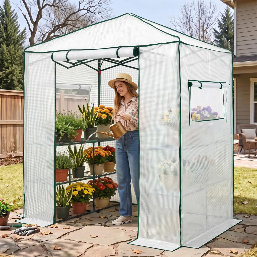 6x4 Easy Setup Small Pop Up Greenhouse, Clear/White