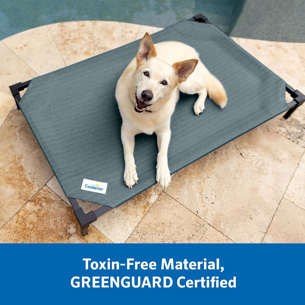 Pro Elevated Dog Bed with HeatShield Fabric - Advanced Cooling Raised Cot for Medium & Large Breeds, Easy-Clean