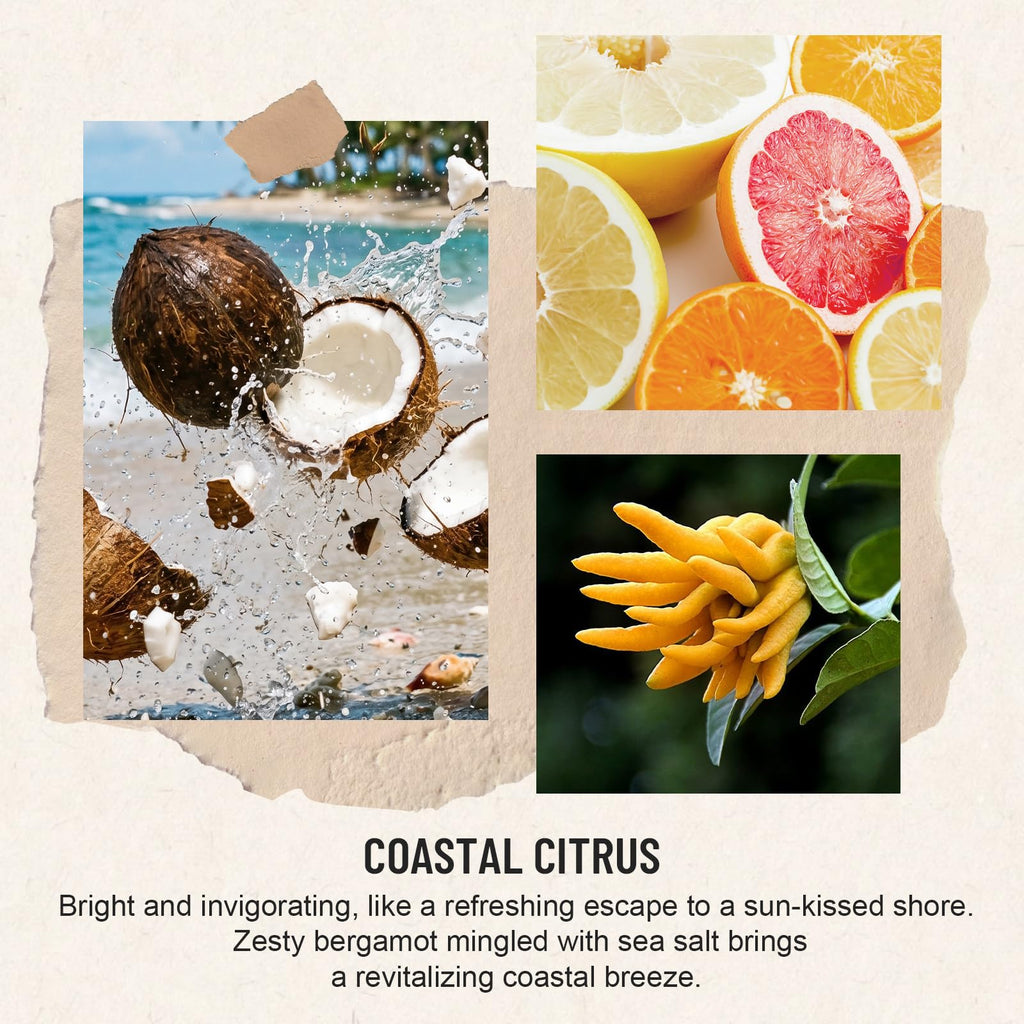 Reed Diffuser, Coastal Citrus Scent Diffuser 2 Pack 8Fl Oz