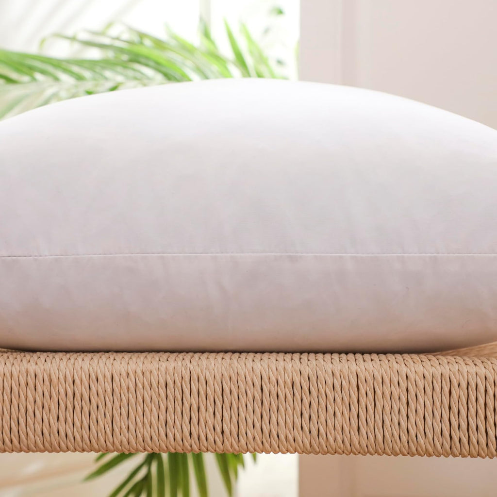 22x22 Inch Gold Goose Down and Feather Throw Pillow Inserts-2 Packs,White,Super Soft Cover,Double Layer Dwon Proof - Set of 2