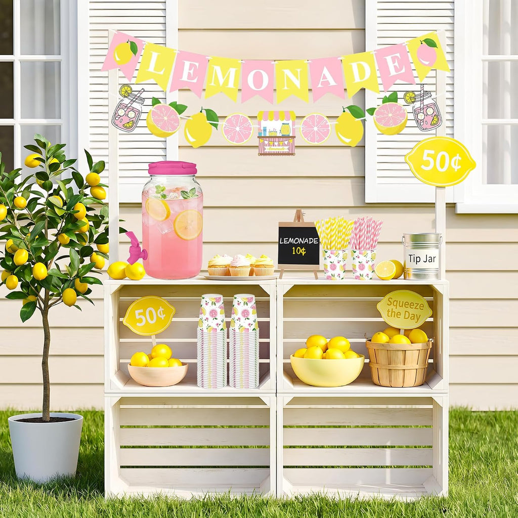Pink Lemonade Stand Supplies with 1 Gallon Plastic Drink Dispenser - Set of 208