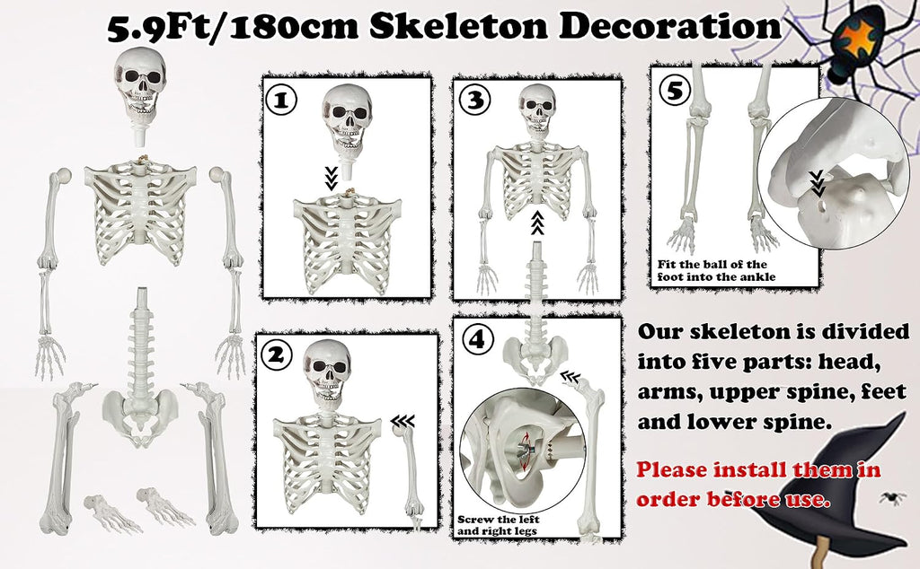 5.9ft/180cm Posable Halloween Skeleton, Life Size Skeleton Bones with Movable Joints for Halloween Graveyard Haunted