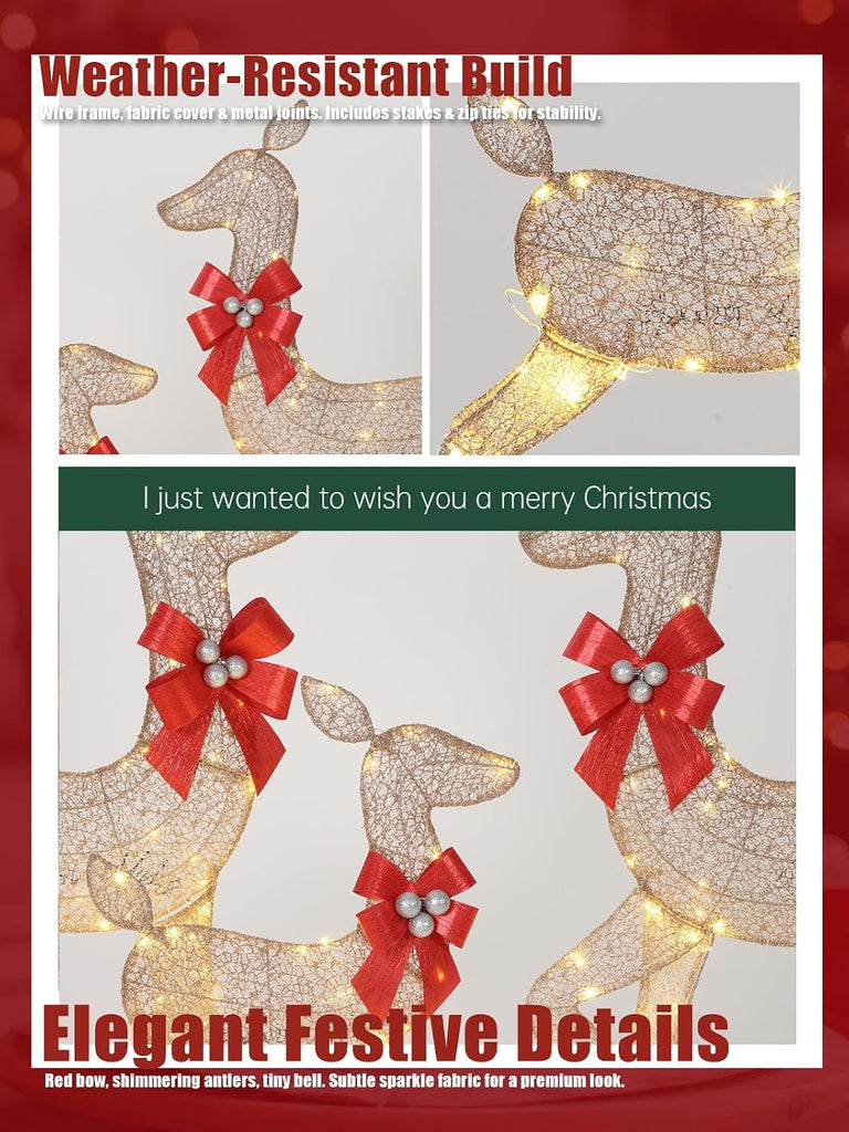 3 Piece 4FT 2D Lighted Christmas Deer with 175 LED Lights