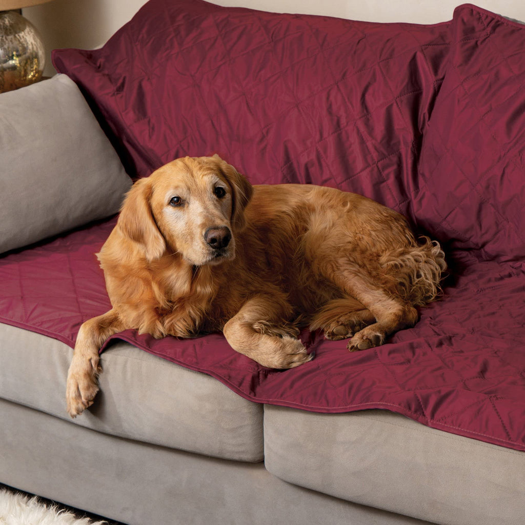 Waterproof Outdoor Blanket for Sporting Events - Warm, Dry & Comfortable