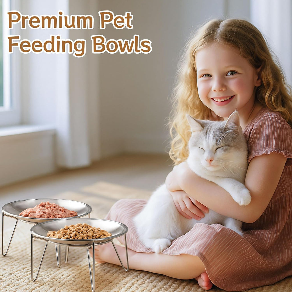 Elevated Cat Bowls with Metal Stand 2 Pack