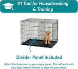 30-Inch iCrate for Medium Breeds, 21-40 lbs, Double Door Folding Dog Crate with Divider Panel