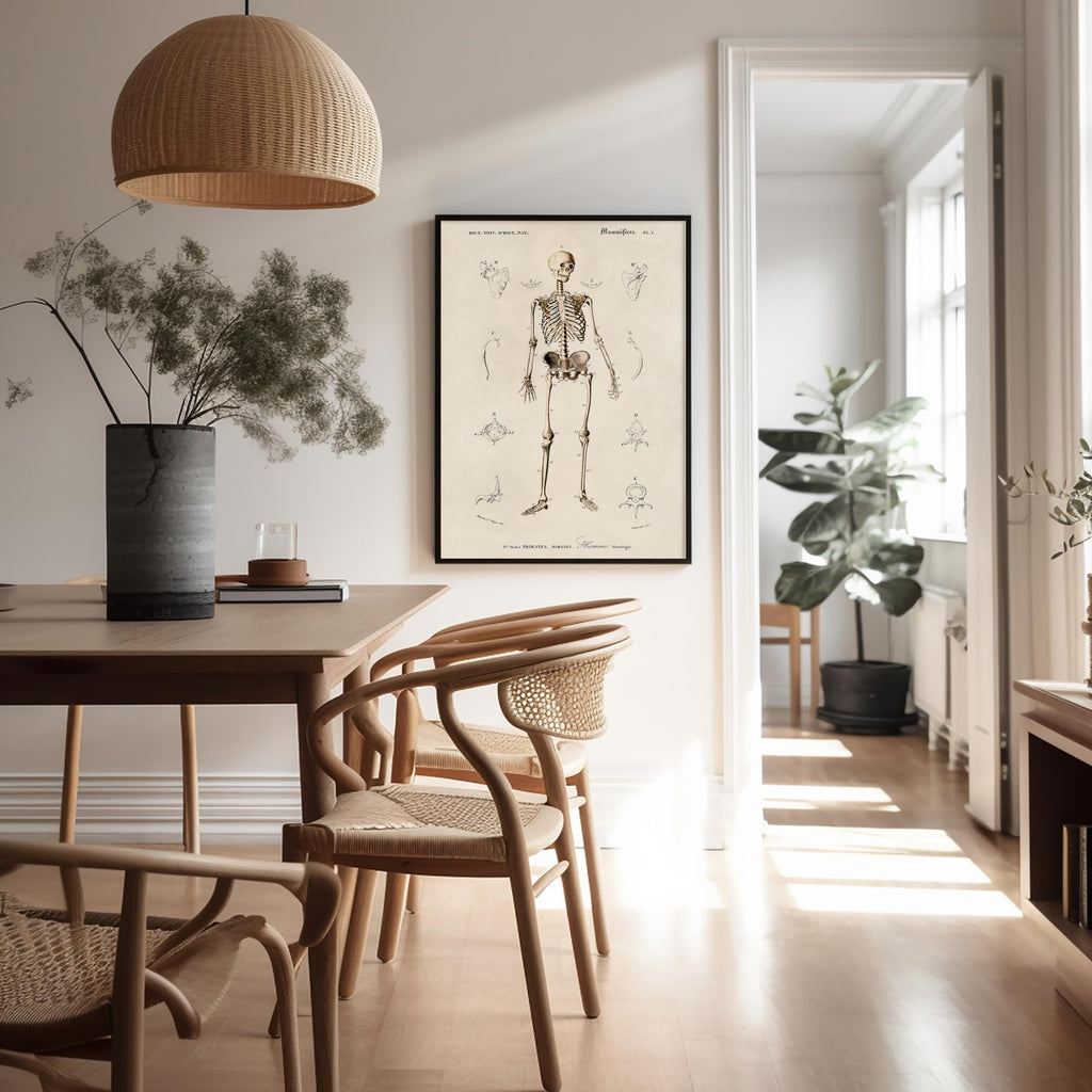 Master Vintage Human Skeleton Poster - Retro Anatomical Print - Illustration Art - Medical Art - Gift for Men & Women