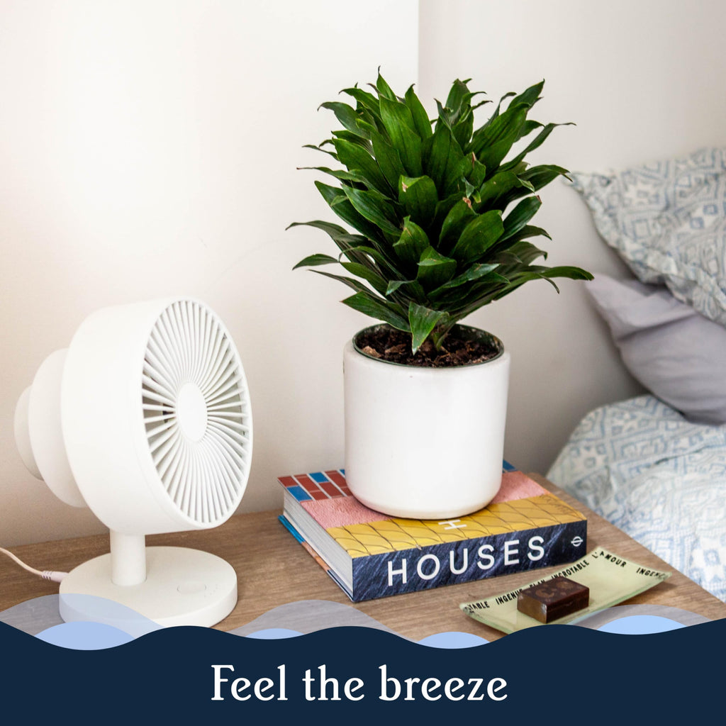 Smart Fan, Ultra-Quiet 2-in-1 Air Circulator with Remote