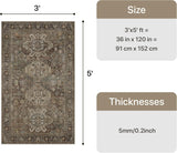 3x5 Area Rug