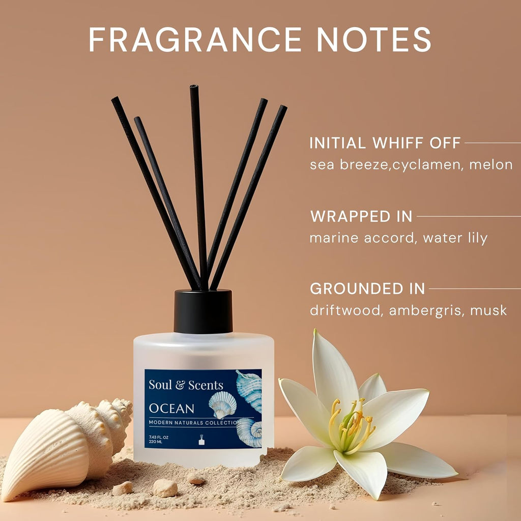 Reed Diffuser Set - Ocean | 7.43 oz Refillable Scented Oil with 6 Fiber Sticks | Long-Lasting Home Fragrance & Air