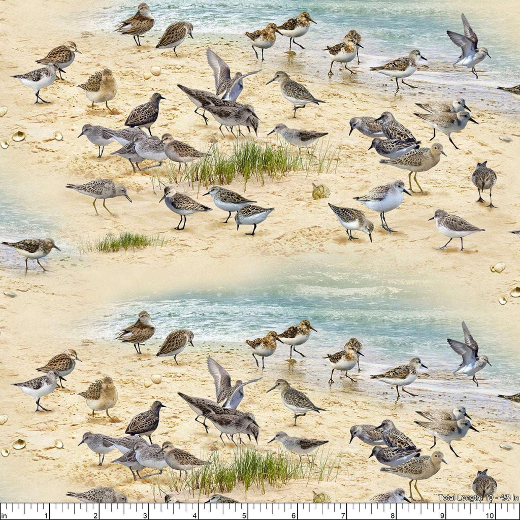 Coastal Dreams Sandpipers Sand, Fabric by the Yard