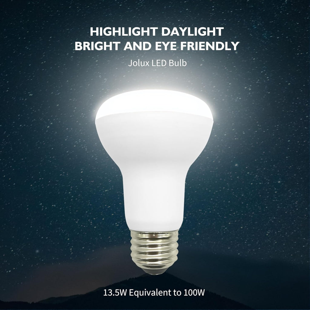10 Pack BR20 LED Bulb, 5000K Dimmable,1470 Lumens, 13.5W=100W