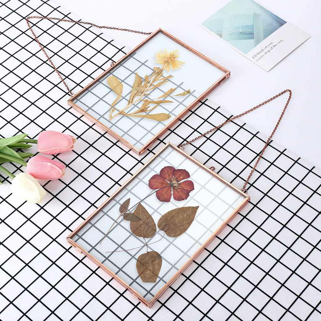 Set of 2 Rose Golden Brass Picture Frames, Floater Frame, Wall Hanging, 4x6 inches, Modern Art Design, Double Glass