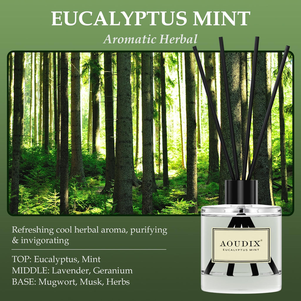 Reed Diffuser Set of 3, 50 ml Lily Jasmine/Eucalyptus Mint/Ocean