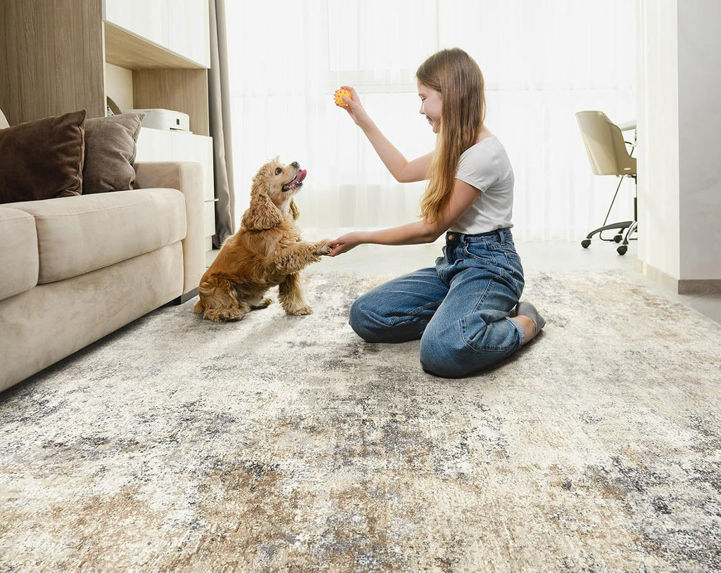 5x8 Area Rug Living Room Rugs - Washable Neutral Modern Abstract Soft Thin Large Rug Indoor Floor No Slip Rug Carpet