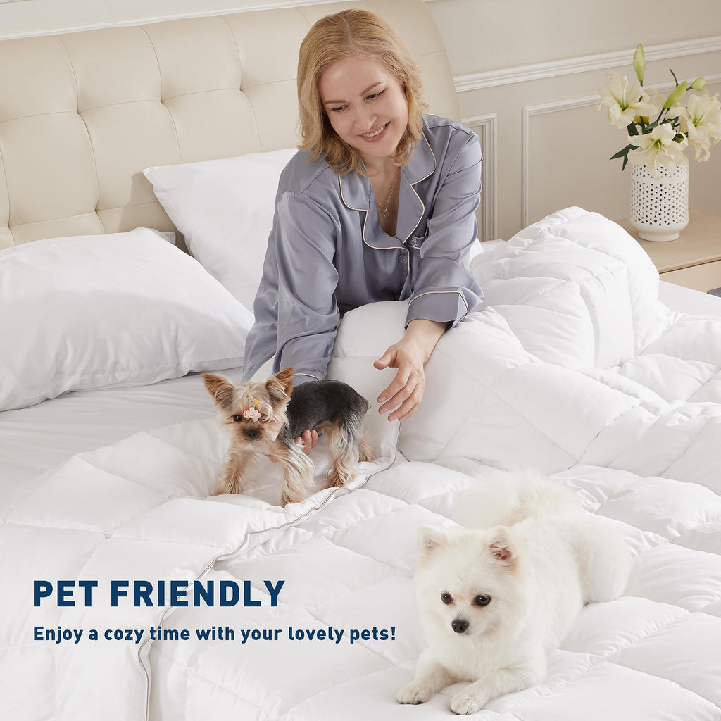 Extra Deep Queen Sheet Sets 100% Cotton Sateen, White