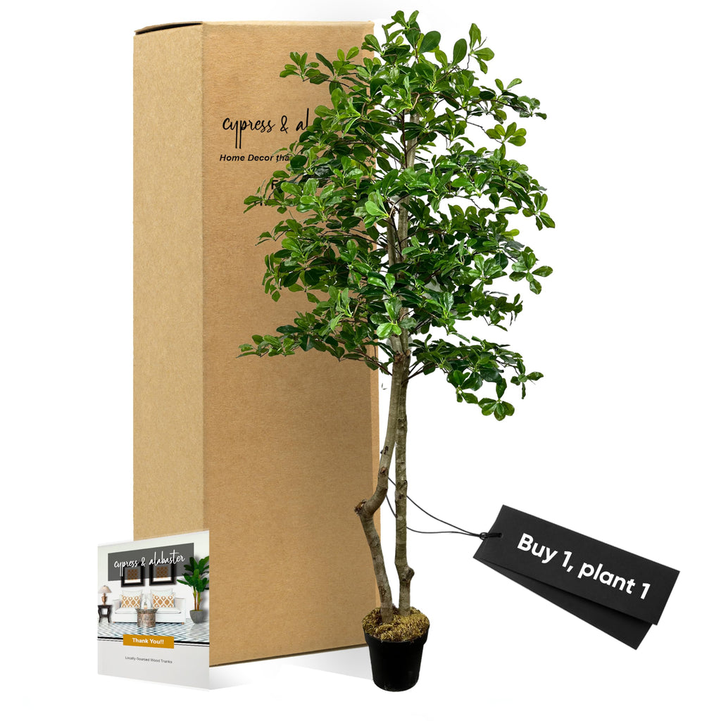 Handmade 6ft Italian Black Olive Leaf Artificial Tree with Ethically Sourced Real Wood Trunks, Hypoallergenic