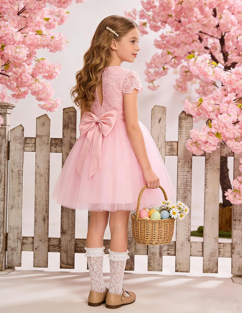 Flower Girl Dress Big Bow Kids Lace Tulle Princess Wedding Gown