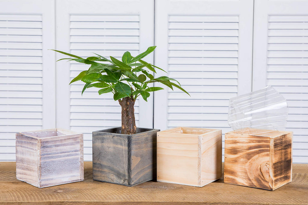 Wood Planter Box 4 Inch Square, Whitewash Color, Plastic Liner, Garden Centerpiece Display, Wedding Flowers Holder