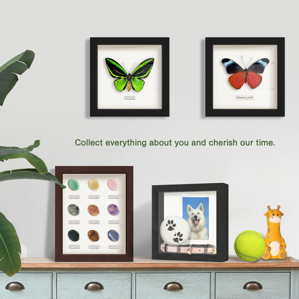 12" x 18" Golden Oak Wooden Shadow Box Frame - Soft Felt Back, Tempered Glass, and Included Elegant White Ball Push
