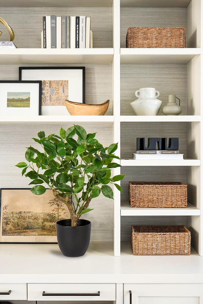 Artificial Tree, 17'' Ficus Bonsai, Premium Faux Planted Potted Decor Table Office Desk Bathroom Bedroom Living Room