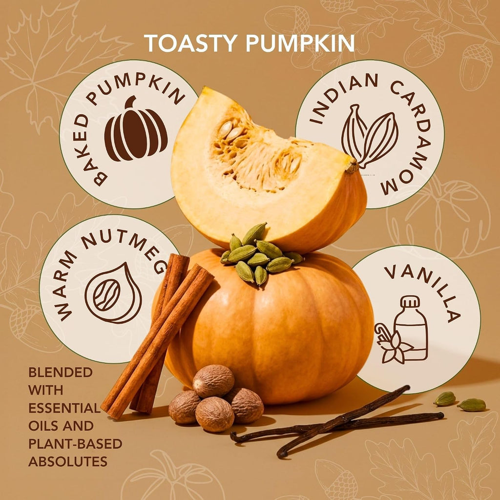Toasty Pumpkin Brulee - Sweet Pumpkin & Vanilla with Earthy Nutmeg & Cardamom - Perfect Cozy for Fall - Pure Beeswax - Set of 15