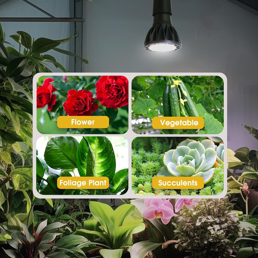 Par20 Grow Light Bulb Full Spectrum