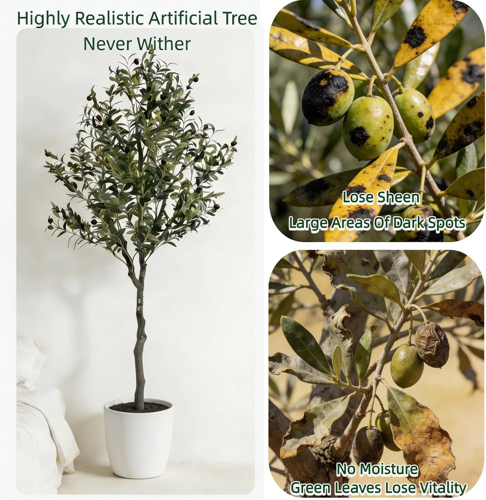 6FT Artificial Olive Tree, Faux Olive Tree for Modern Boho Home Decor, Fake Olive Tree with Realistic Leaves &
