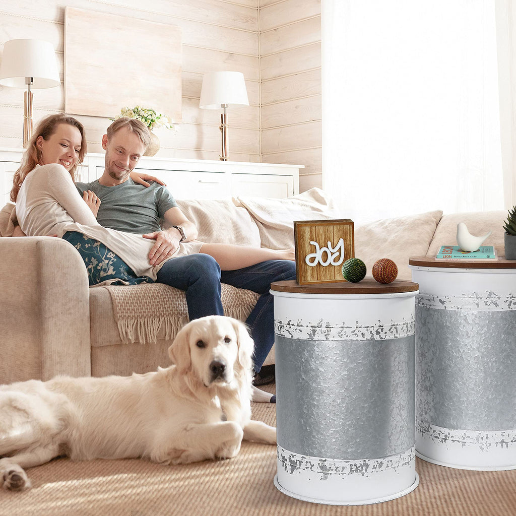 Farmhouse Accent Side Table, Set of 2 Galvanized Storage Ottoman