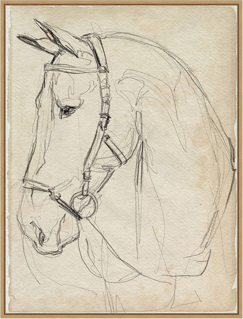 Framed Canvas Wall Art 30x23 Horse in Bridle Sketch II by Jennifer Paxton Parker, Framed Wall Art Canvas, Animals