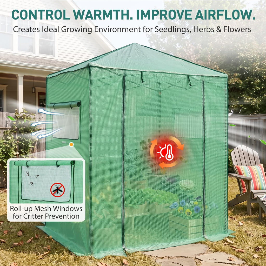 6x4 Easy Setup Small Pop Up Greenhouse, Clear/Green