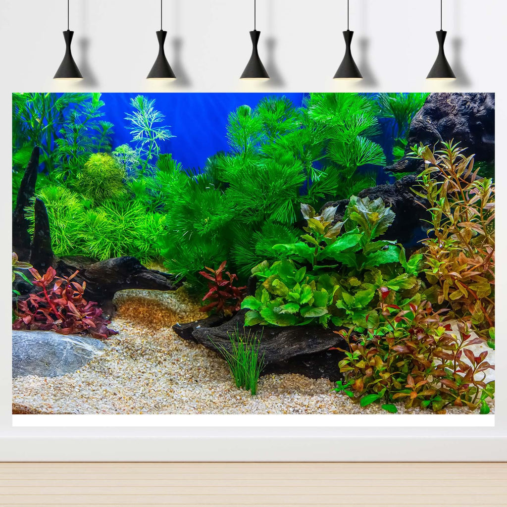 Aquarium Background Underwater Grass Leaves with Pebble Aquarium Backdrop Vivid and Fresh Green Aquatic Plant Stone