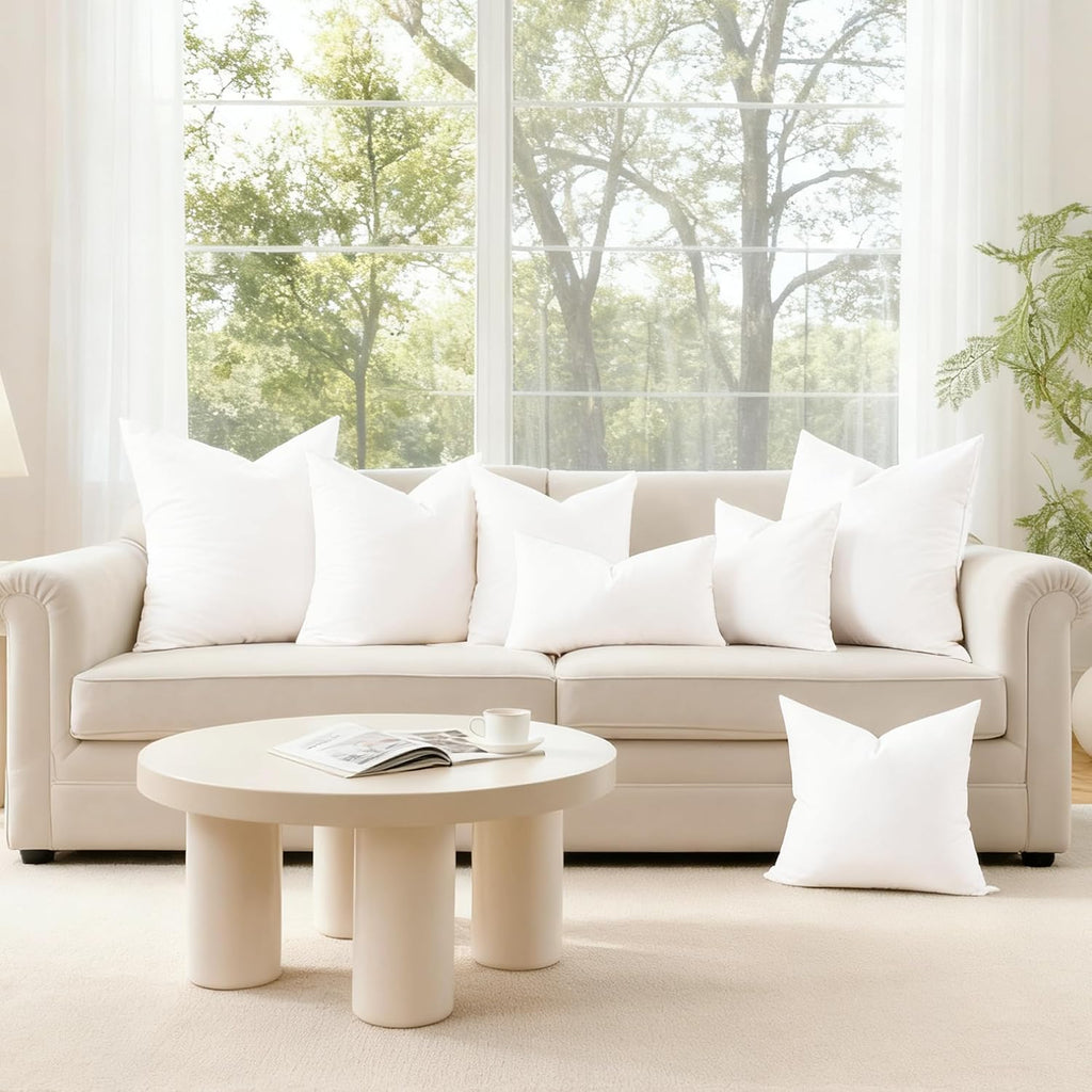 Throw Pillow Inserts, 22x22 - Set of 2