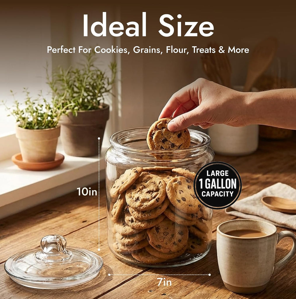 1 Gallon Glass Cookie Jar with Lid & Candy Jar | Glass Jars