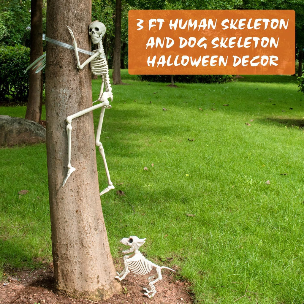 FT Human Skeleton Halloween Decor with Dog Skeleton, Posable Skeletons Decoration with Movable Joints, Full Body - Set of 2