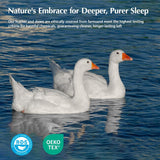 Goose Down Fiber Comforters Oversized Queen Duvet Insert, All Season White Comforter