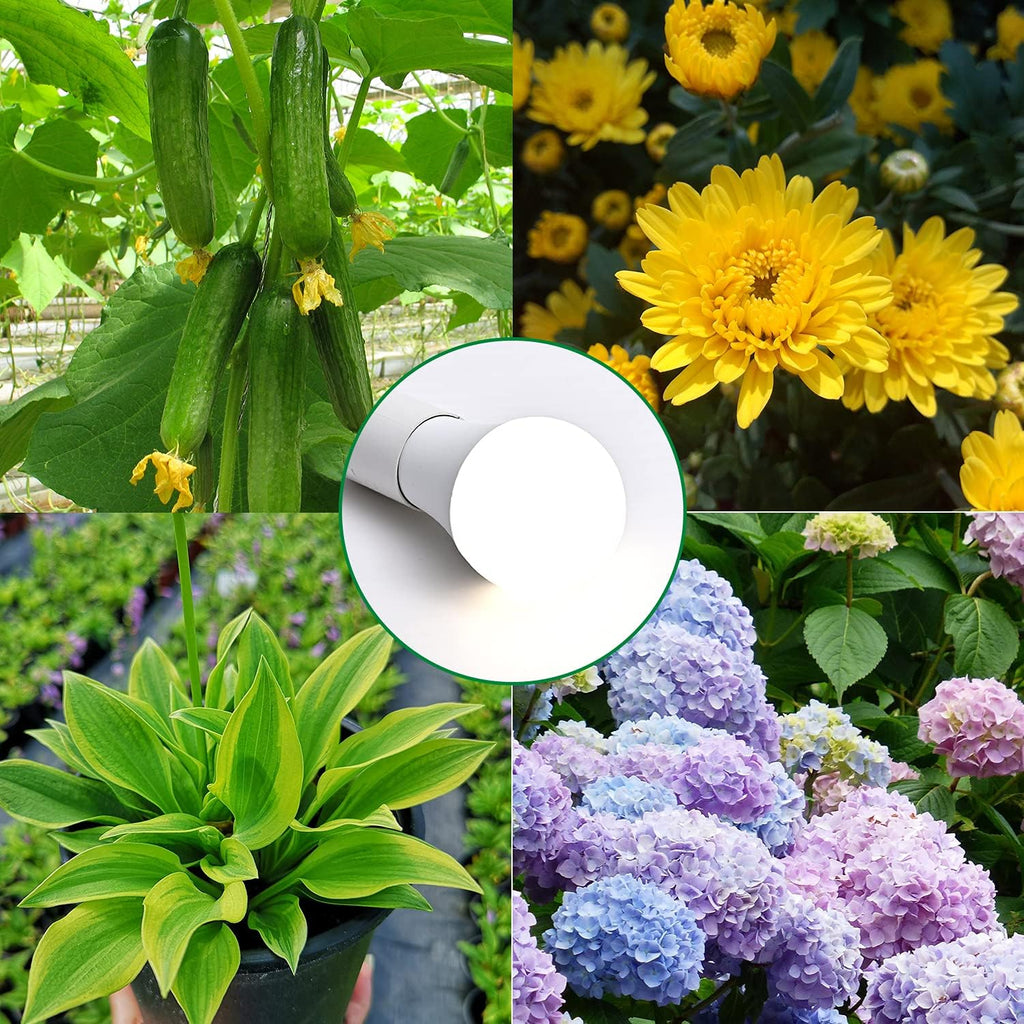 4 Pack Grow Light Bulbs-A19,LED Grow Bulb for Indoor Plants,Full Spectrum, 9 W Grow Light Bulb Replace up to 100W