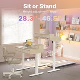 32 x 20 inch Electric Standing Desk with 4 Drawers