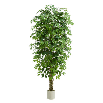 Artificial Ficus Tree:7FT Tall Faux Silk Floor Plant (White Planter)
