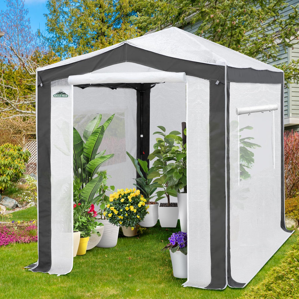 8x6 Walk in Pop Up Greenhouse, Gray/White