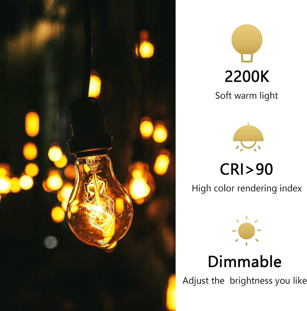 A19 Incandescent Light Bulbs 40W E26 Dimmable Edison Bulbs 6 Pack