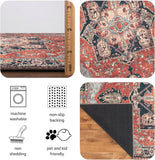 30"x84" Rug - Machine Washable Runner Rug with Non-Slip Backing, Ideal