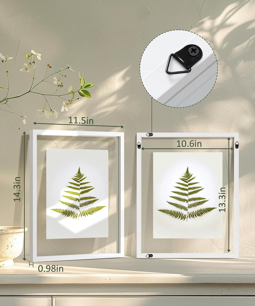 Floating 11x14 Picture Frame White Double Glass Frame Set of 2 | Tempered Double Glass, Wall Display, Pressed Flower