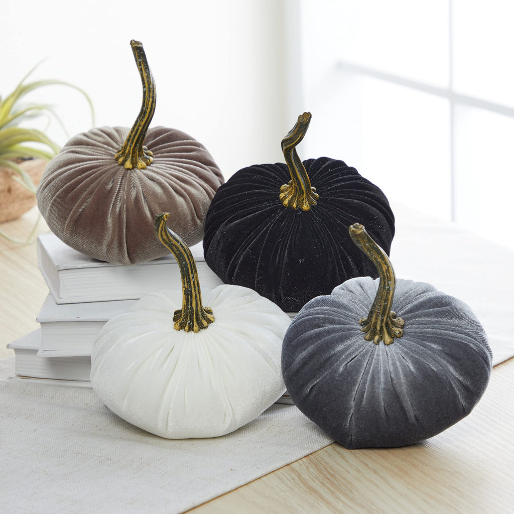 Velvet Pumpkin Set of 4 (Sm Gray Taupe Ivory Black)