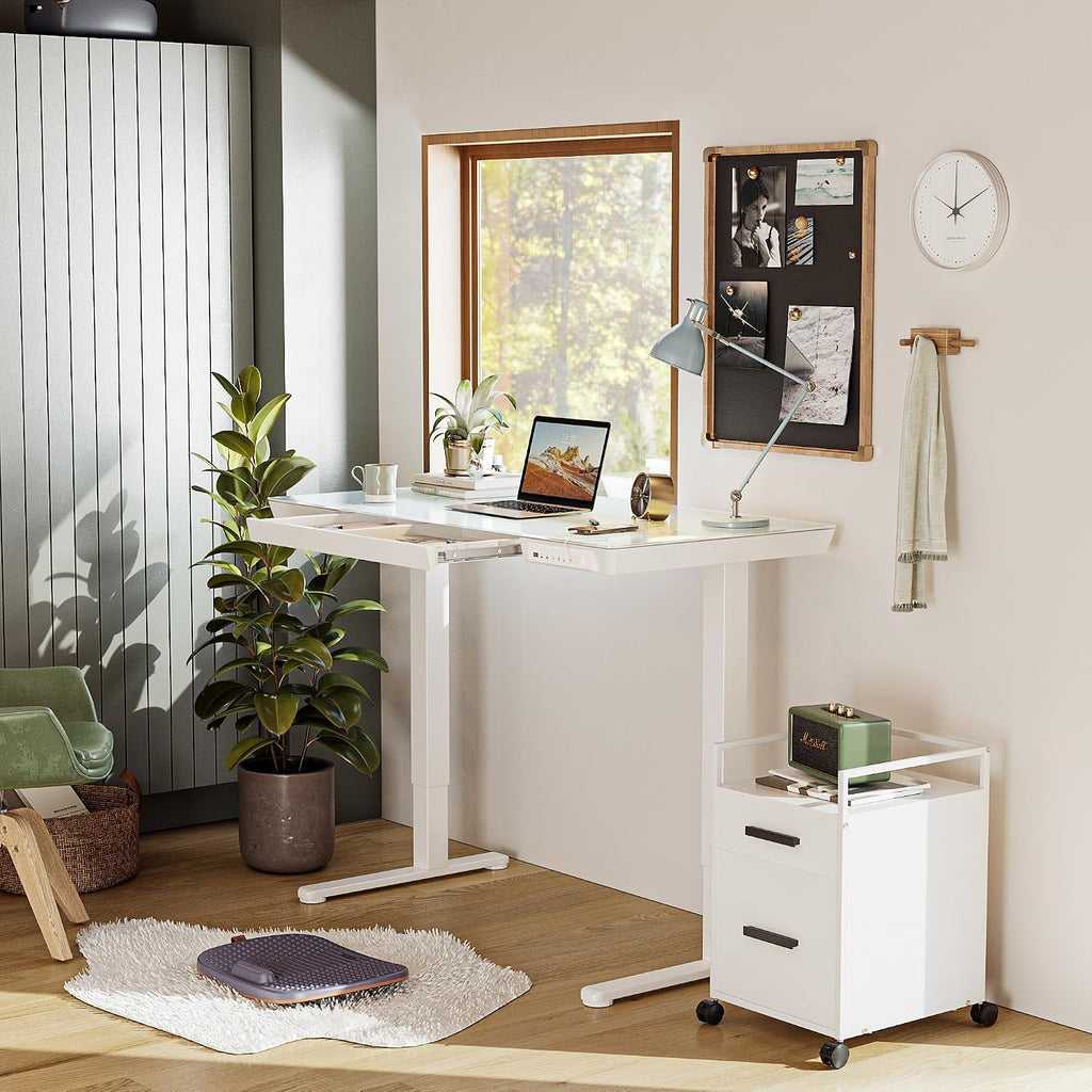 Electric Standing Desk with Drawers, 55 inch Whole-Piece Glass Desktop, Height Adjustable Stand up Sit Stand Home